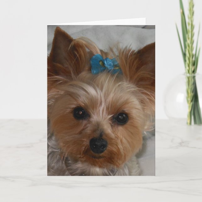 Lite bundsförvant kort (Framsida)