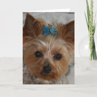 Lite bundsförvant kort