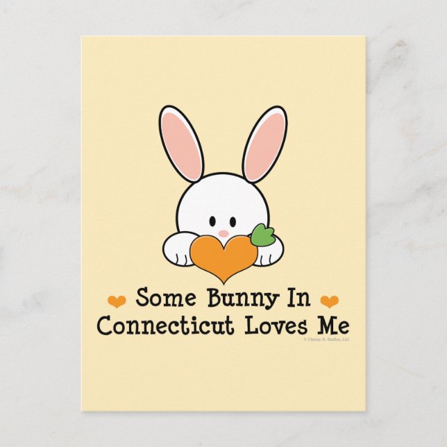 Lite Bunny i Connecticut Kärlek Me-vykort Vykort (Framsida)