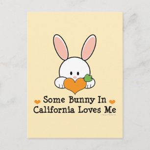 Lite Bunny i Kalifornien Kärlek Me Postcard Vykort