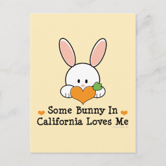 Lite Bunny i Kalifornien Kärlek Me Postcard Vykort