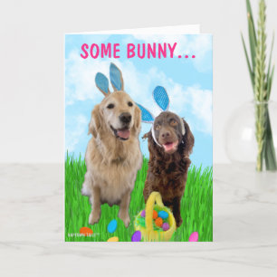 Lite Bunny Kärlek, ditt Hund-mappade kort