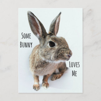 Lite Bunny Kärlek Me Collection Rabbit Påsk Helg Vykort