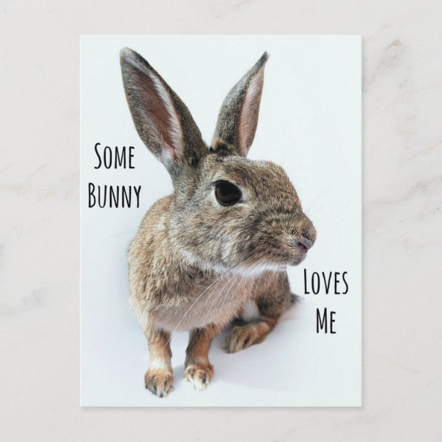 Lite Bunny Kärlek Me Collection Rabbit Påsk Helg Vykort (Framsida)