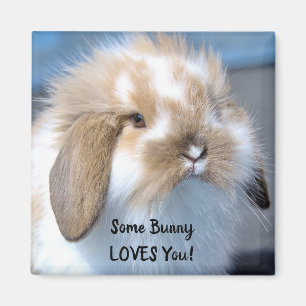 Lite Bunny Kärlek You - Fluffy Holland Lop Magnet