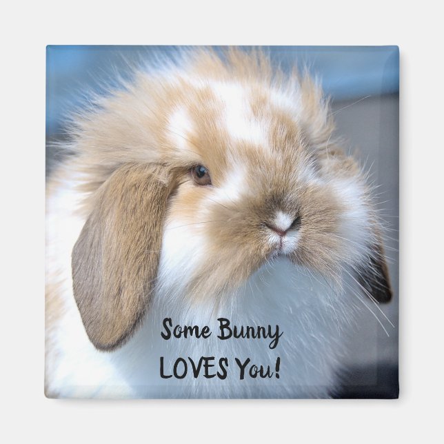 Lite Bunny Kärlek You - Fluffy Holland Lop Magnet (Framsidan)