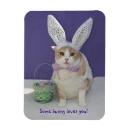Lite Bunny Kärlek You Påsk Kattunge Magnet