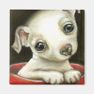 Lite Chihuahua Magnet