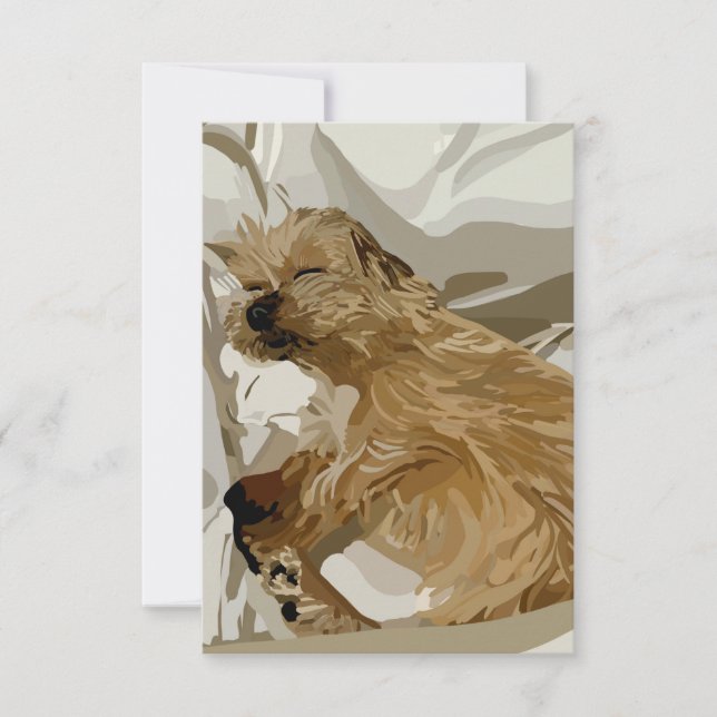 Lite Daisy i hund Tack Kort (Framsida)