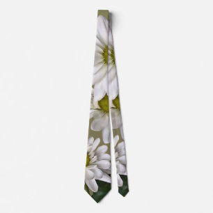 Lite Daisy Tittar upp Slips