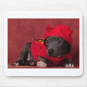 Lite djävulen musmatta