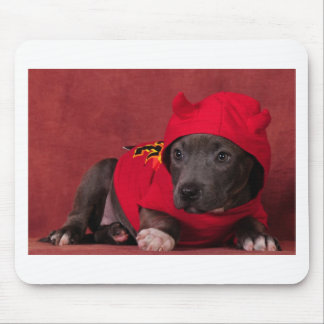 Lite djävulen musmatta