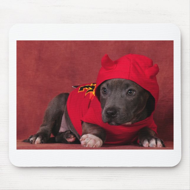 Lite djävulen musmatta (Framsidan)