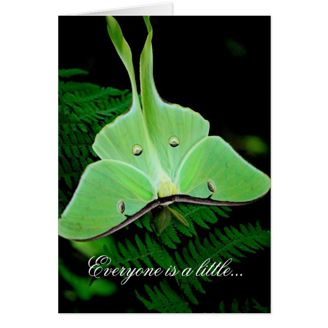 Lite en irländare hälsningskort (Framsidan)