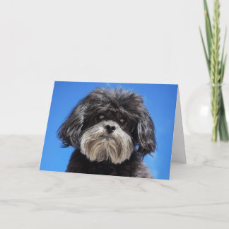 Lite en kärlek kort