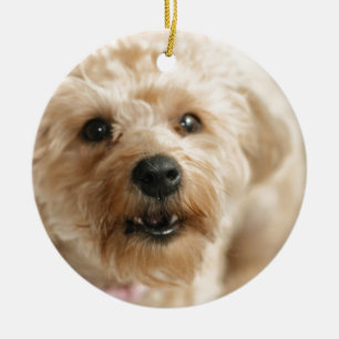 Lite enorma Abby det Yorkie bajset Julgransprydnad Keramik