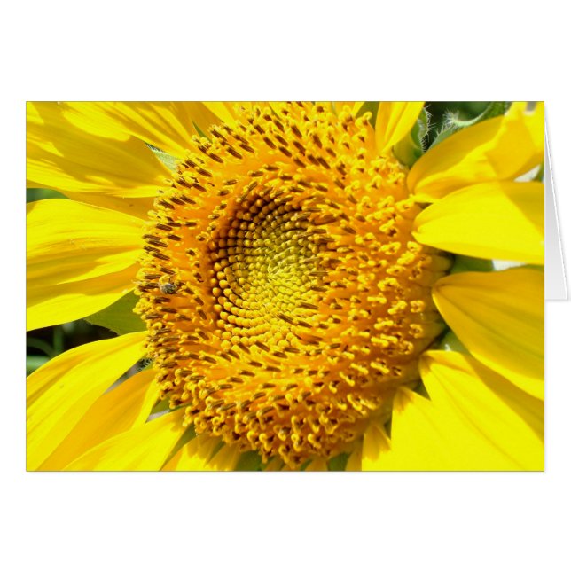 Lite ett honungbi OBS kort (Framsidan Horizontal)