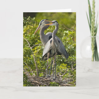 Lite ett pippifödelsedagkort kort