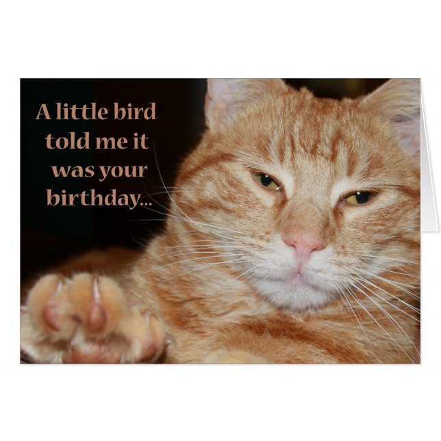 Lite fågel hälsningskort (Framsidan Horizontal)