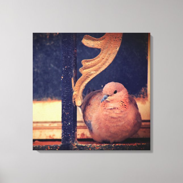 Lite Fluff Canvastryck (Framsida)