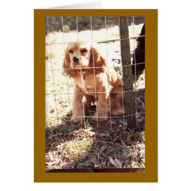 lite fredlös hälsningskort (Framsidan)