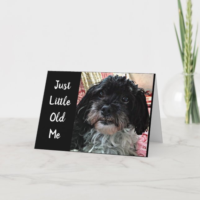 LITE GAMLA FRÅGOR **HUR ÄR DU?*** KORT (Framsida)