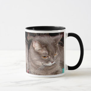 LITE GRÅ FÄRGKATT MUGG