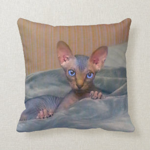 Lite grå Sphynx kattunge Kudde