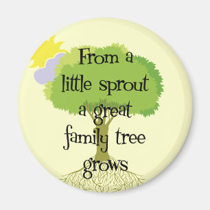Lite grodd magnet