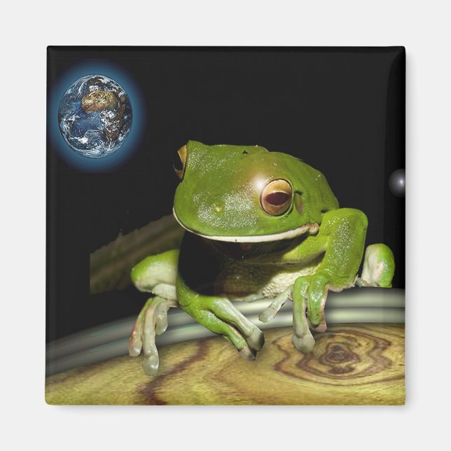 LITE GRÖNT FROG MAGNET (Framsidan)