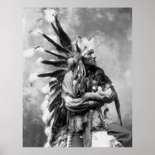 Lite häst, Oglala Sioux, 1890s Poster