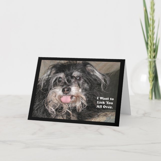 "Lite känguruunge hund: "Önskar jag att slicka dig Kort (Framsida)