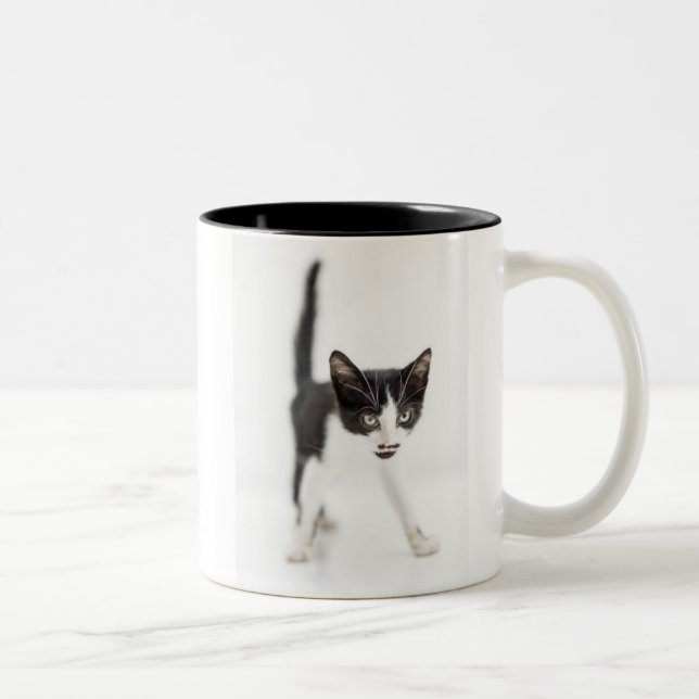 Lite katt Två-Tonad mugg (Höger)