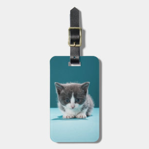 Lite kattunge bagagebricka