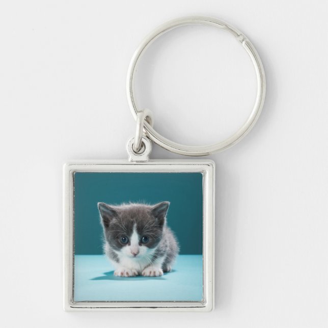 Lite kattunge fyrkantig silverfärgad nyckelring (Framsidan)