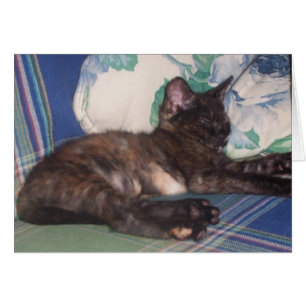 Lite kattunge hälsningskort
