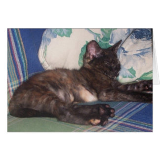 Lite kattunge hälsningskort