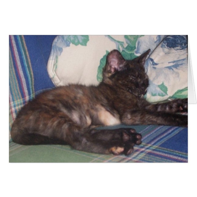 Lite kattunge hälsningskort (Framsidan Horizontal)