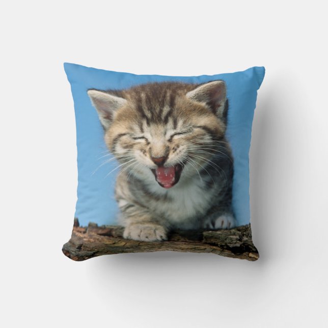 Lite kattunge i ett träd kudde (Framsida)