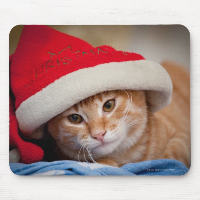 Lite kattunge i röd julhatt musmatta (Framsidan)