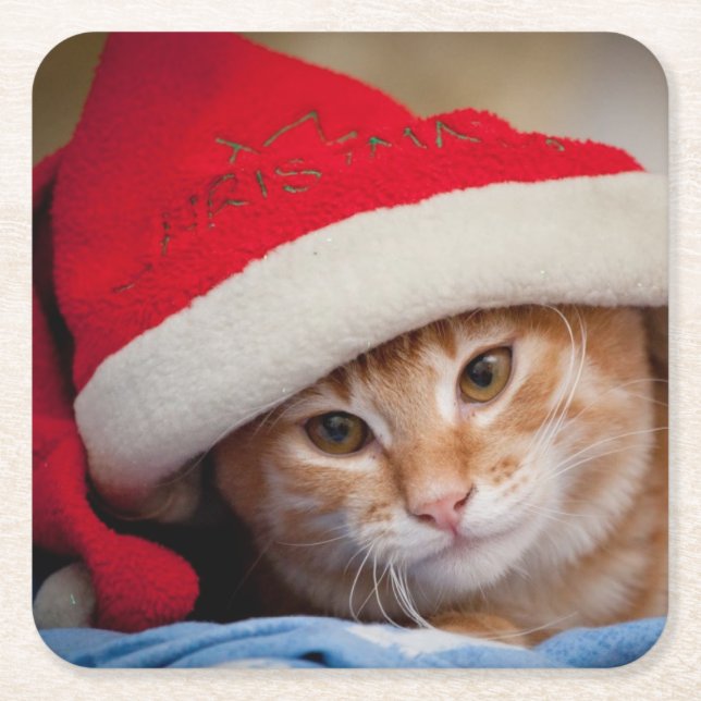 Lite kattunge i röd julhatt underlägg papper kvadrat (Framsidan)
