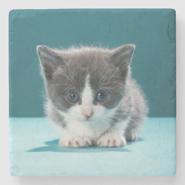 Lite kattunge stenunderlägg (Framsidan)