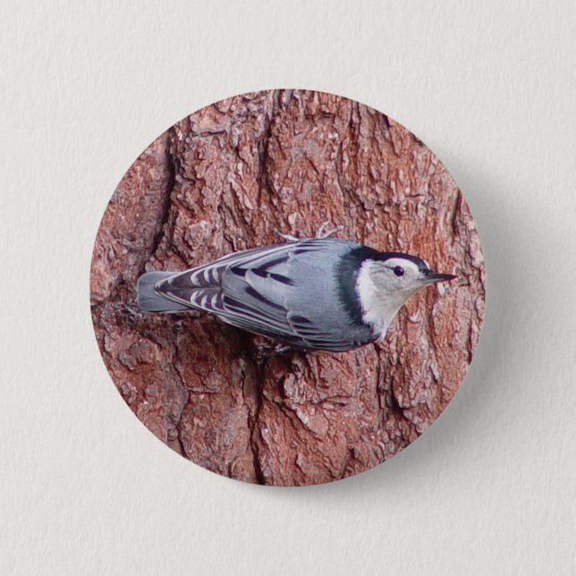 Lite knäppas Nuthatchfågeln Knapp (Framsida)