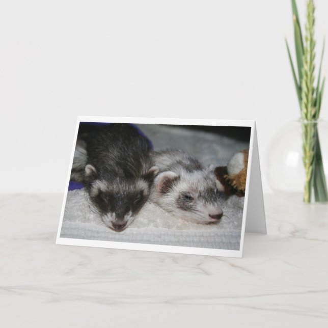 Lite kort för Dooks Sleepershälsningar (Framsida)