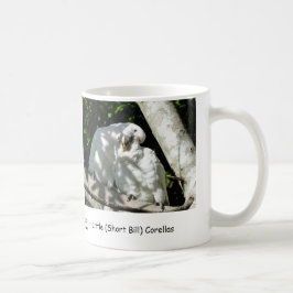 Lite (kort räkning) Corellas Kaffemugg