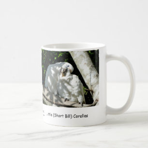 Lite (kort räkning) Corellas Kaffemugg