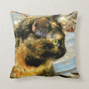 Lite kudder den Tortie katten Mojo Kudde