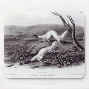 Lite kvick vessla musmatta