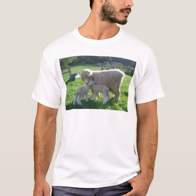LITE LAMB TEE (Framsida)