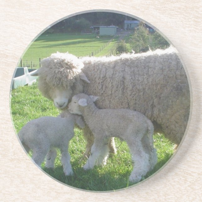 LITE LAMB UNDERLÄGG SANDSTEN (Framsidan)